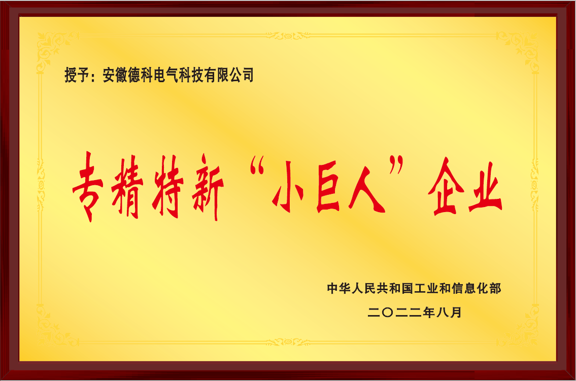 國家級專精特新“小巨人”企業(yè)